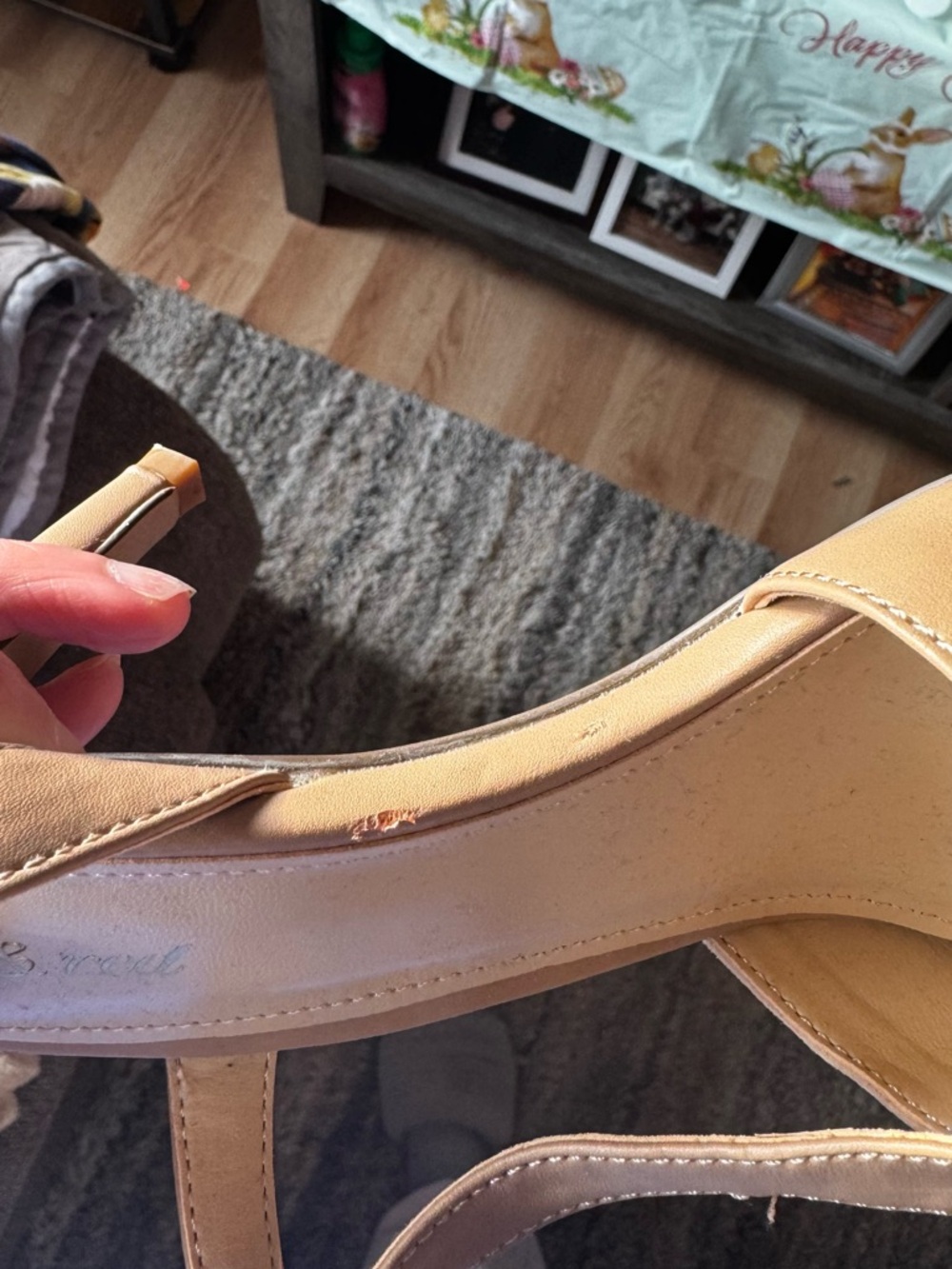Beige Pointed-Toe Slingback Heels with Ankle Strap - Picture 5 of 6